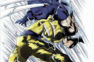X-Men Wolverine Artwork