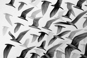 Abstract Birds Vector Art to many birds are flying