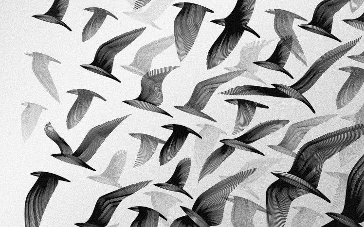 Abstract Birds Vector Art to many birds are flying HD Wallpaper Desktop Background