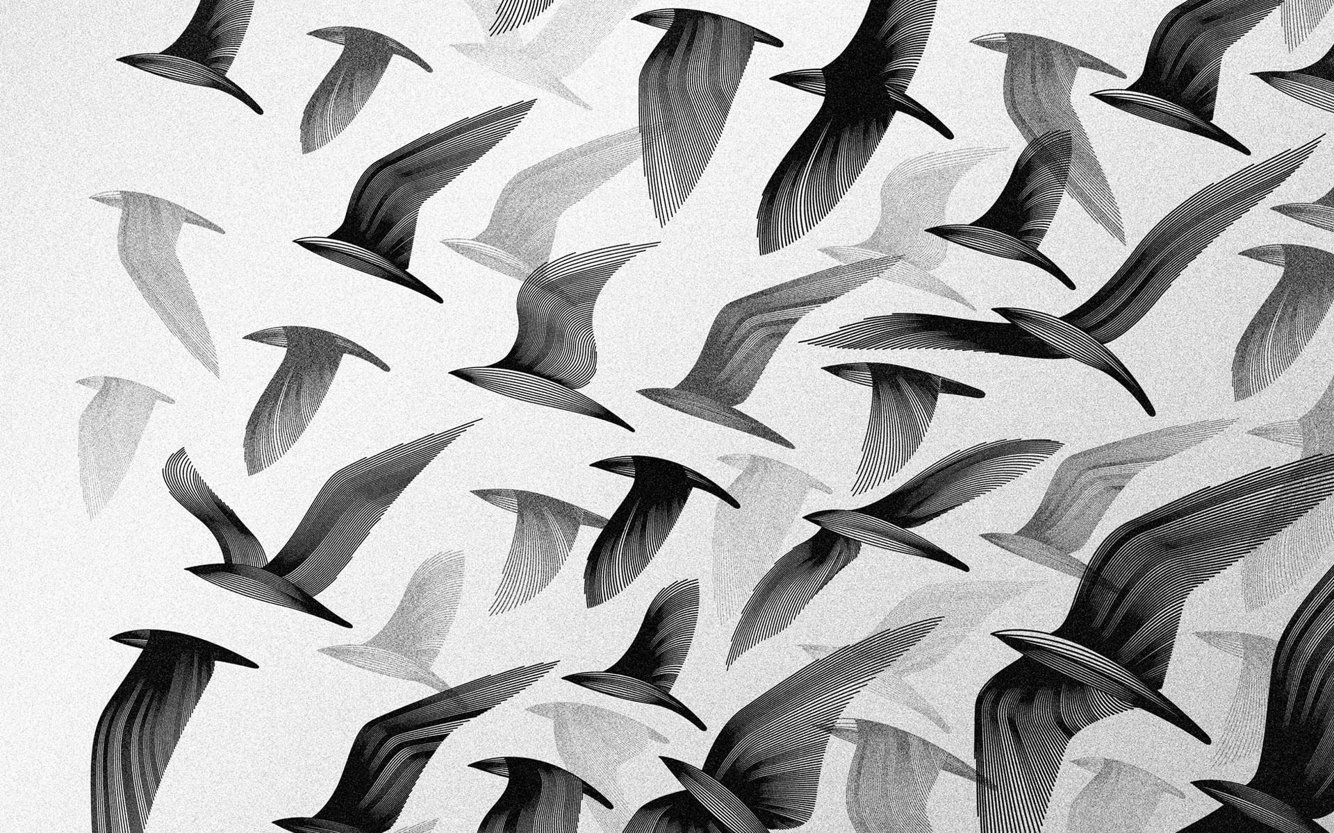 Abstract Birds Vector Art to many birds are flying Wallpaper