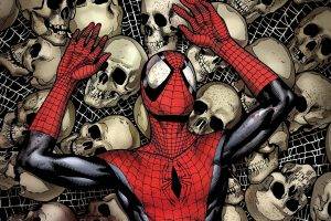 Spiderman Comics Spider-man Superhero with skulls