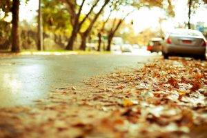 A Car Parked On The Road At The Autumn