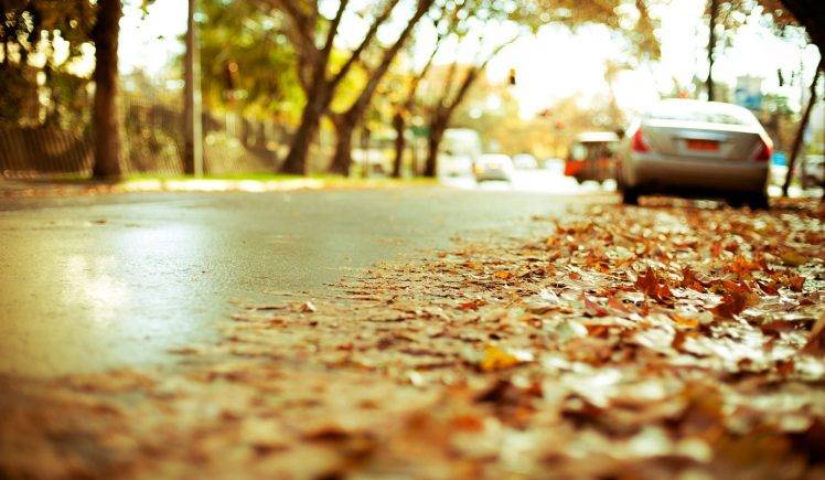 A Car Parked On The Road At The Autumn HD Wallpaper Desktop Background