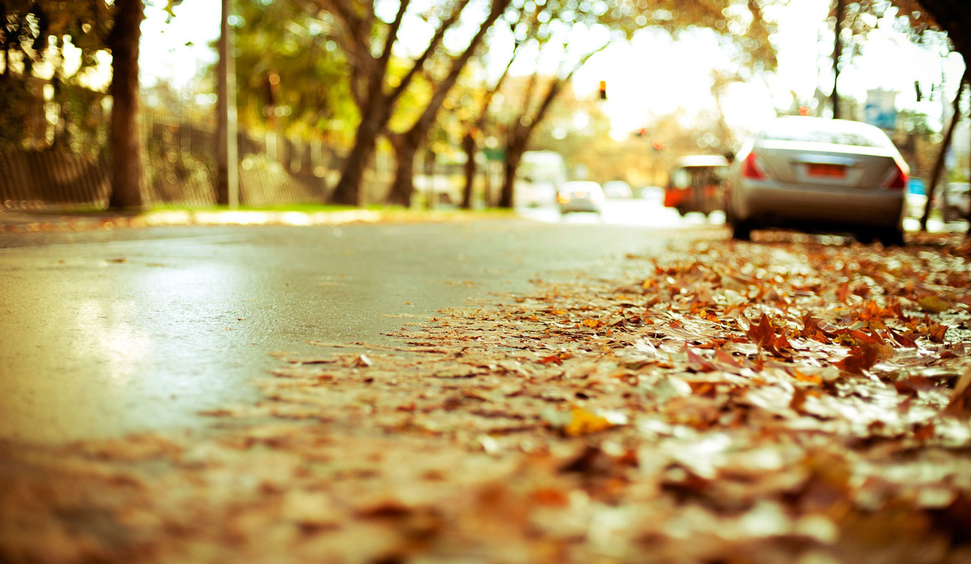 A Car Parked On The Road At The Autumn Wallpaper