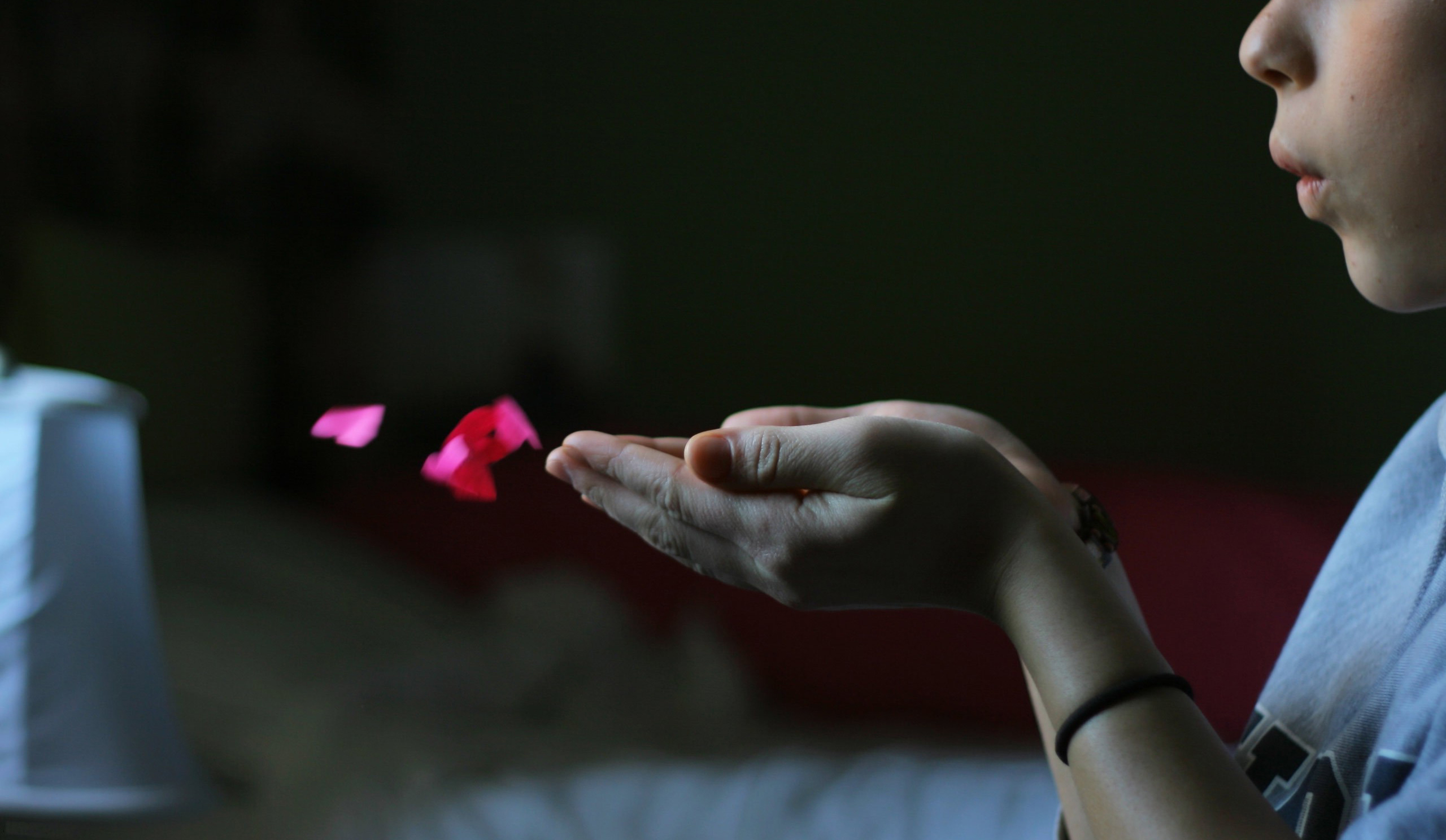 A Flower Wind Wallpaper