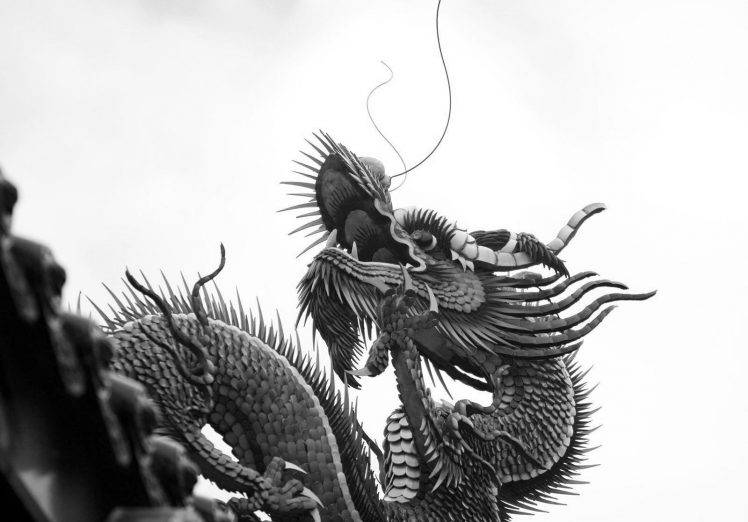 China Monochrome Dragons HD Wallpaper Desktop Background