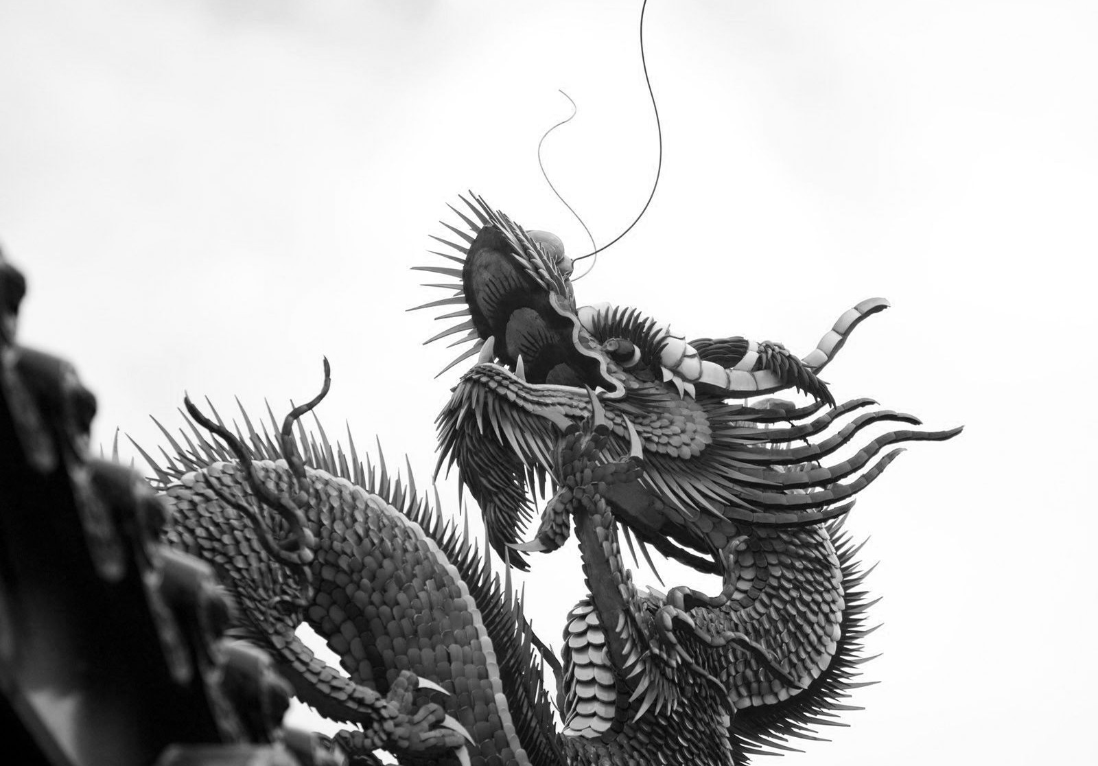 China Monochrome Dragons Wallpaper