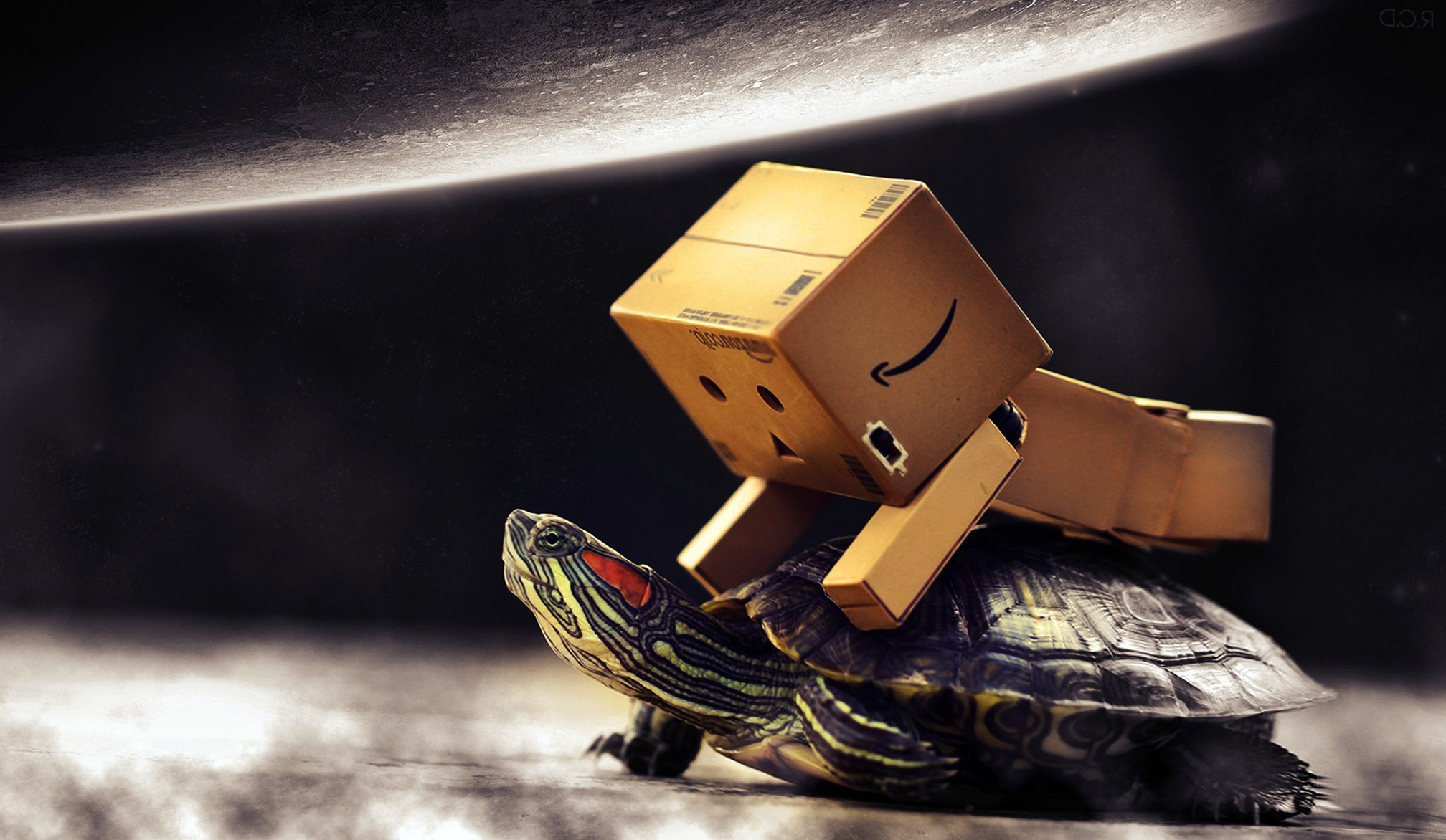 Danboard Box Man And Baby Turtle Wallpaper