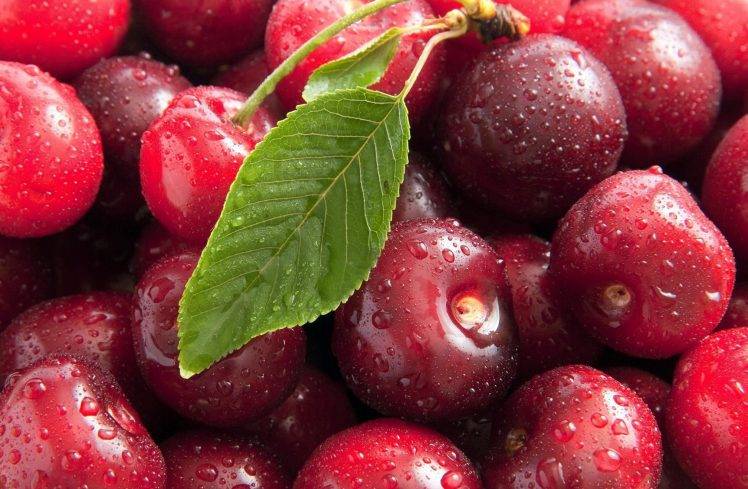 Delicious Cherries HD Wallpaper Desktop Background