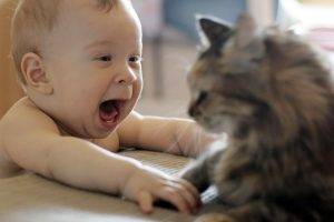 Funny Baby Playes With Cat