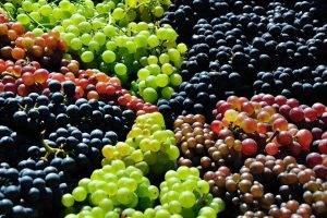Grapes In Different Colors