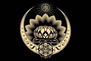 Lotus Incase Obey Shepard Fairey
