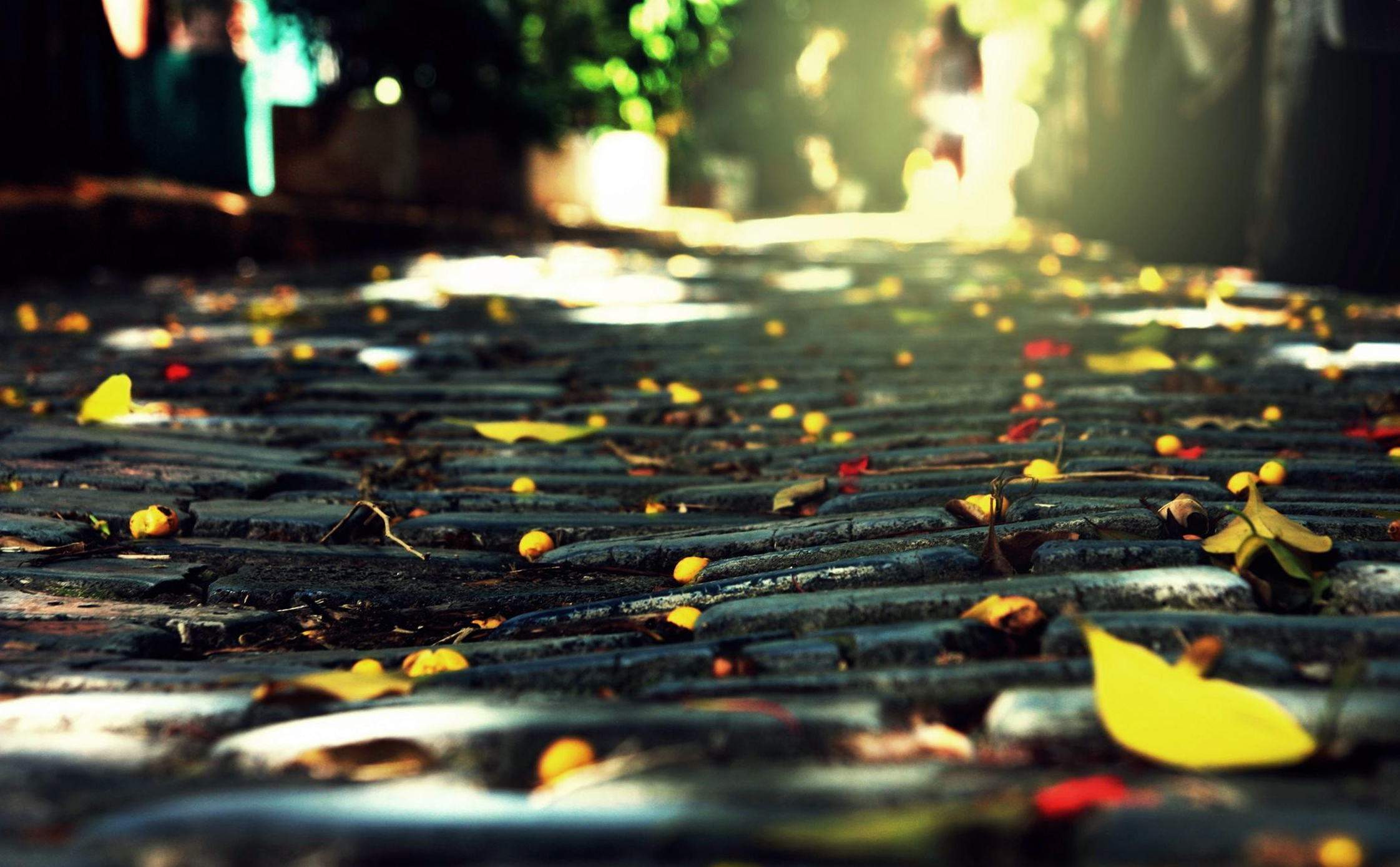 Macro Ground Floor Wallpaper