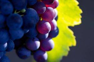 Macro Photo Of Grapes