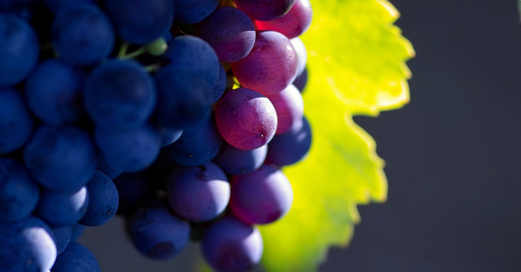 Macro Photo Of Grapes Wallpaper