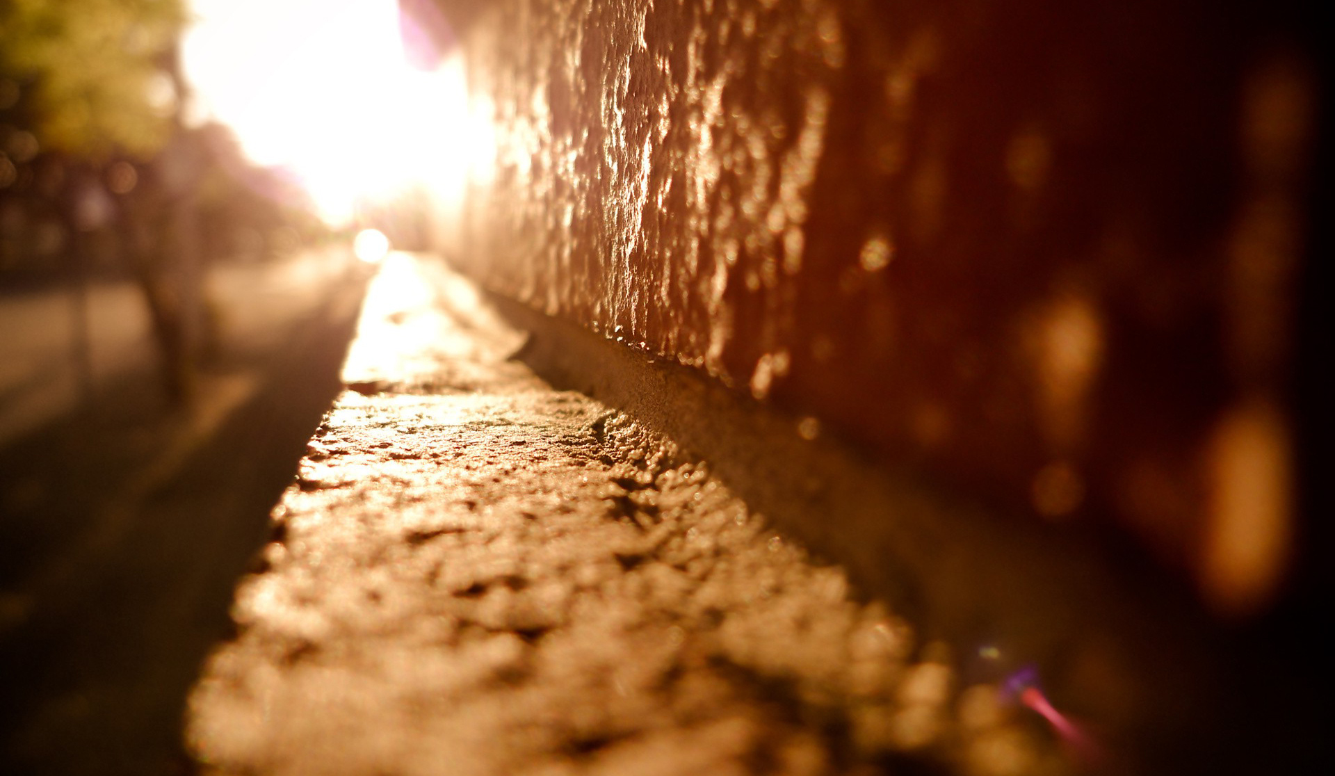 Macro Shirt Photo Wallpaper