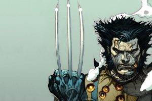 Marvel Comics Comics XMen Wolverine