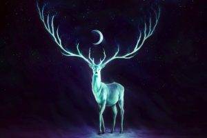Moon Horns Deer Fantasy Art Glowing Artwork Stag