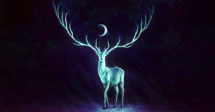 Moon Horns Deer Fantasy Art Glowing Artwork Stag HD Wallpaper Desktop Background