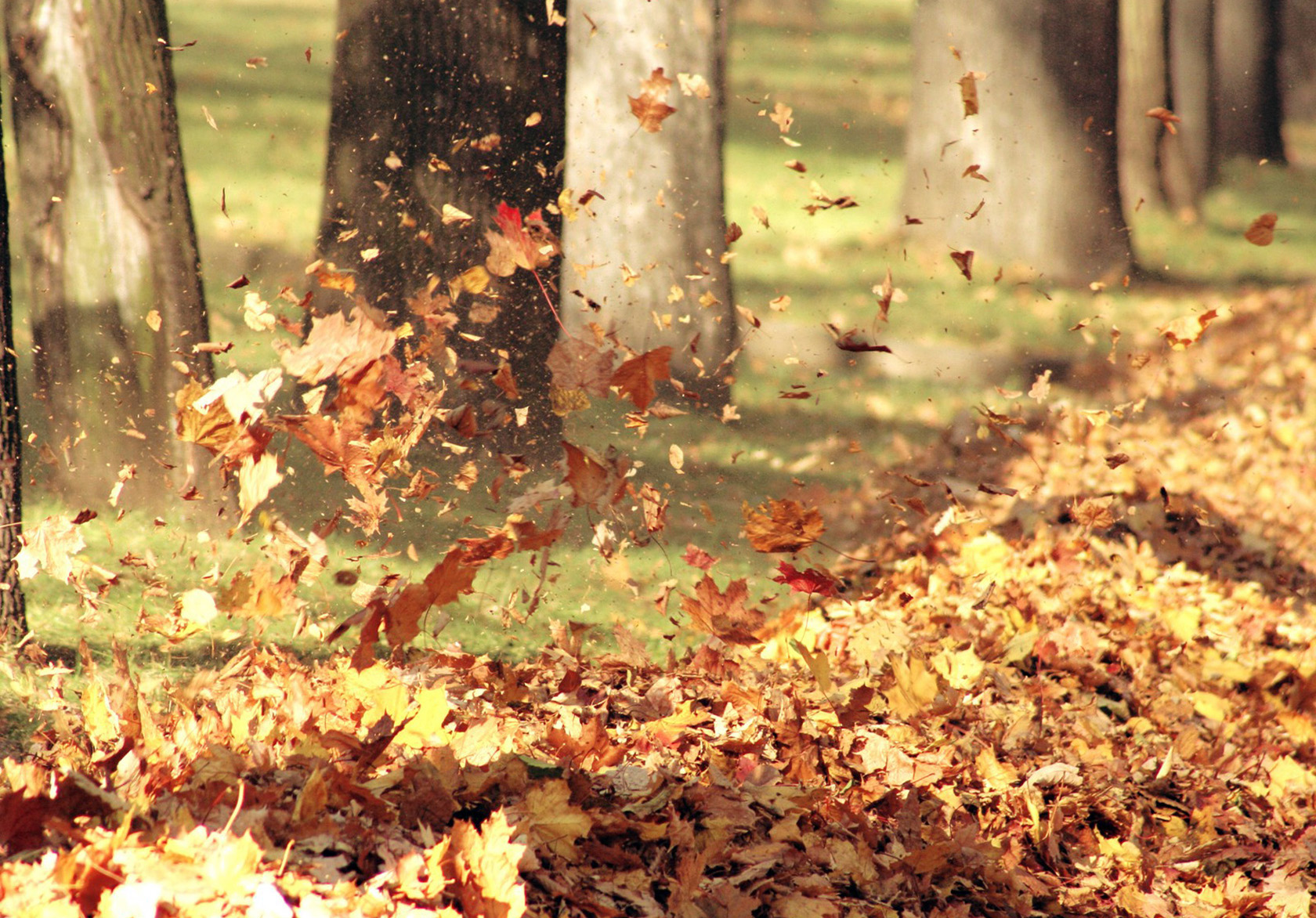 Natural Landscape At The Autumn Wallpaper