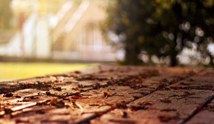 Natural Leaves On The Wooden HD Wallpaper Desktop Background