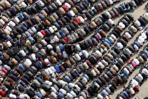 Praying Muslims