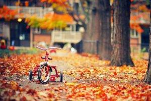 Red Tricycles In Autumn