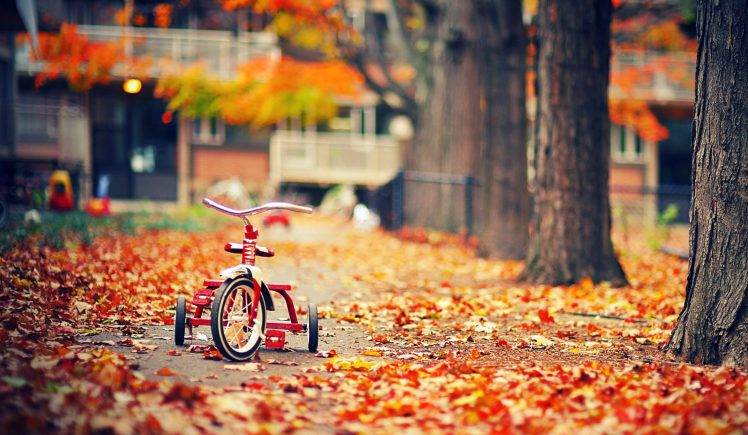 Red Tricycles In Autumn HD Wallpaper Desktop Background