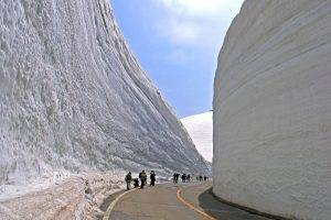 Road Divided The Huge Snow Rocks