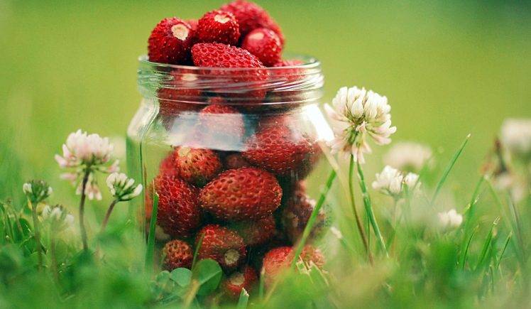 Strawberries In The Jar HD Wallpaper Desktop Background