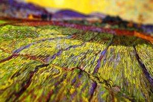 Vincent Van Gogh Tiltshift Typical Painting Artworf Field