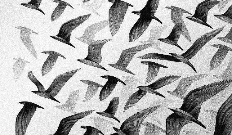 Birds Artwork HD Wallpaper Desktop Background