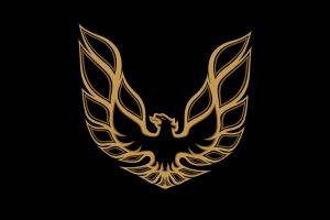Black Background Phoenix Pontiac Firebird Logos