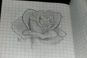 Flowers My Drawings 2