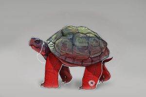 IPod Turtles Converse Hipster Hip Backgrounds Apples Tortoise Headphones Jeans Music Red Animals