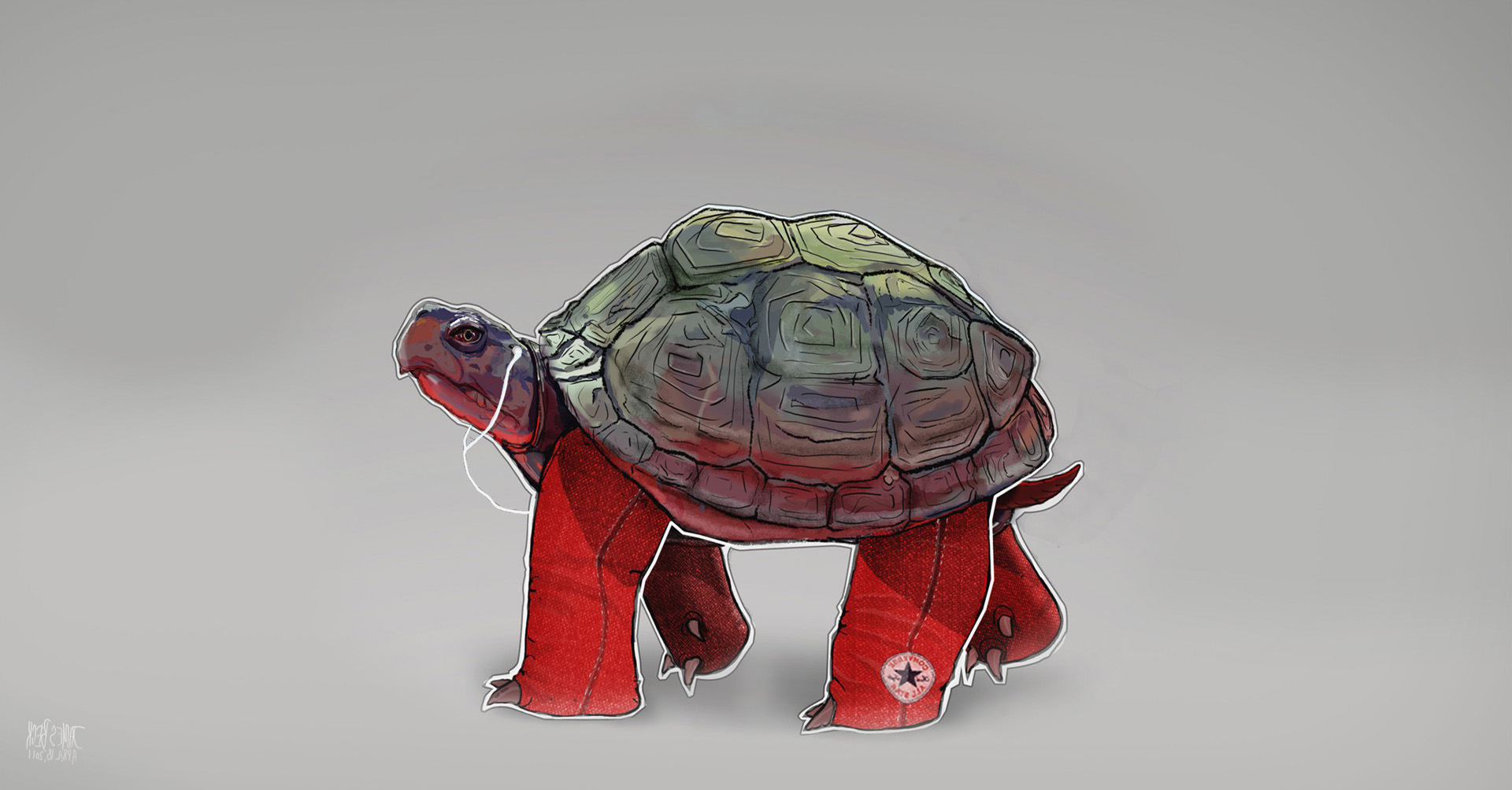 IPod Turtles Converse Hipster Hip Backgrounds Apples Tortoise Headphones Jeans Music Red Animals Wallpaper