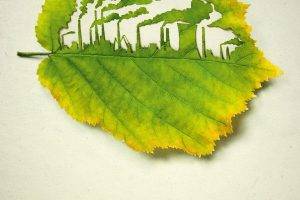 Leaves Pollution