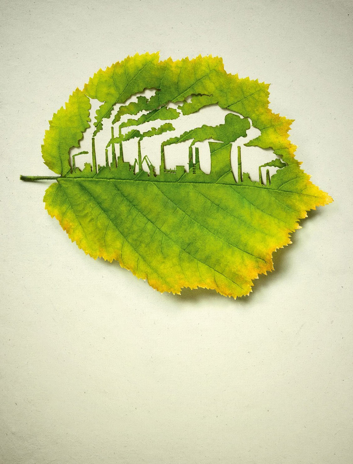 Leaves Pollution Wallpaper