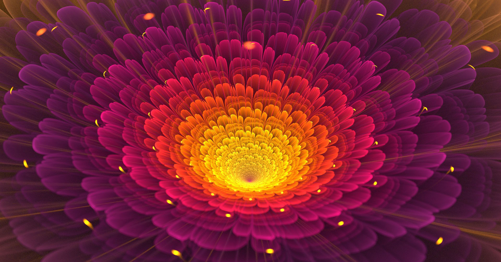 Light Abstract Nature Flowers Digital Art Macro Wallpaper