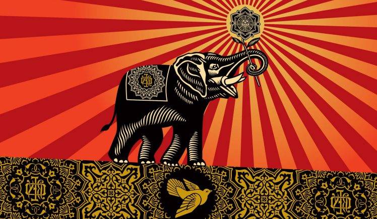 Obey Elephants Shepard Fairey Incase HD Wallpaper Desktop Background
