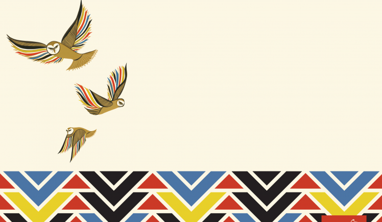 Owls Arrows Incase Retina Clare Rojas HD Wallpaper Desktop Background