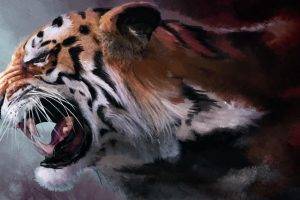 Wild Wallpaper Tiger Attacks Drawings