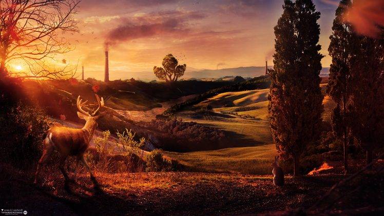 Desktopography, Nature, Landscape, Deer, Sunset, Digital Art HD Wallpaper Desktop Background