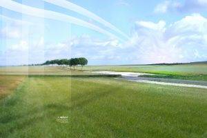 Desktopography, Nature, Landscape, Trees, Sky, Horizon, Grass, Digital Art