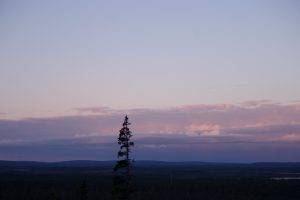 Finland, Forest, Landscape