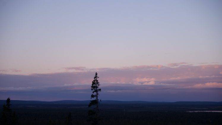 Finland, Forest, Landscape HD Wallpaper Desktop Background