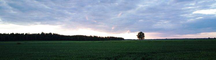 landscape, Field, Finland HD Wallpaper Desktop Background