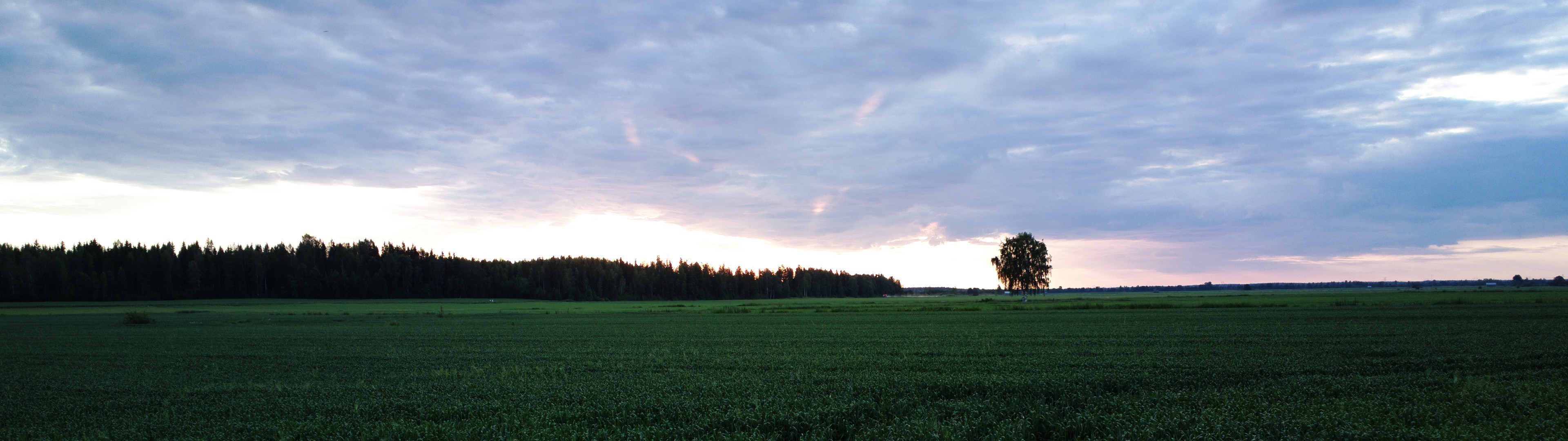 landscape, Field, Finland Wallpaper