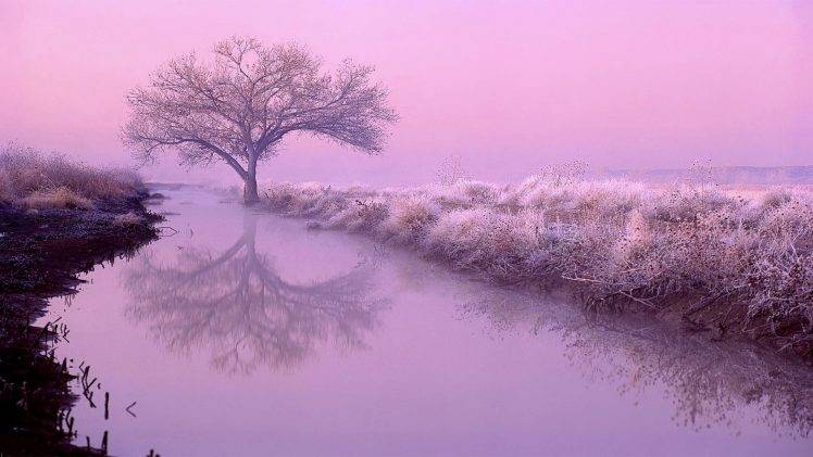 landscape, Nature, Sunrise, Mist, Trees, River HD Wallpaper Desktop Background