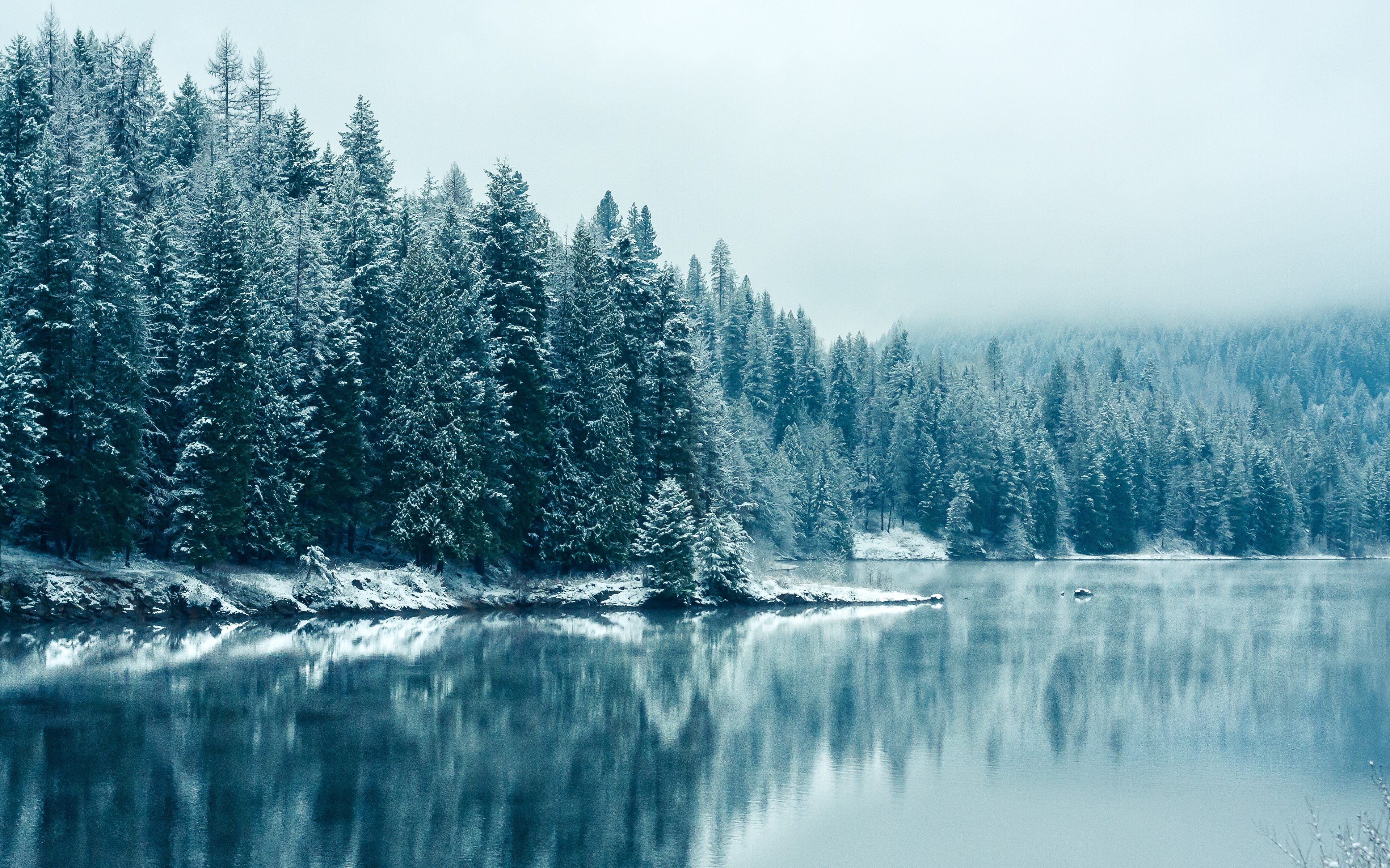 snow, Landscape, Water, Trees Wallpaper